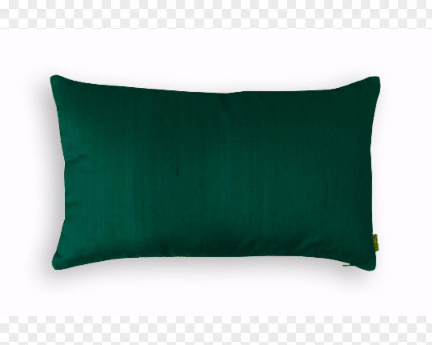 Pillow Throw Pillows Cushion Green PNG