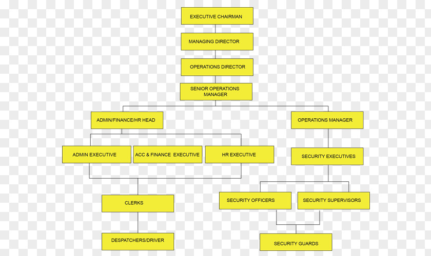 Secure Nature Organizational Structure DHL EXPRESS Chart Company PNG