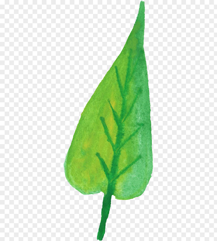 Watercolor Painting Leaves Leaf Plant Stem PNG