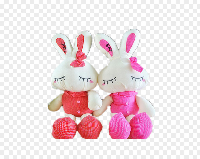 Beauty Bunny Doll Rabbit PNG