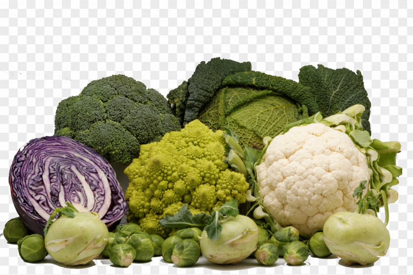 Chou Capitata Group Cruciferous Vegetables Brussels Sprout Broccoli PNG