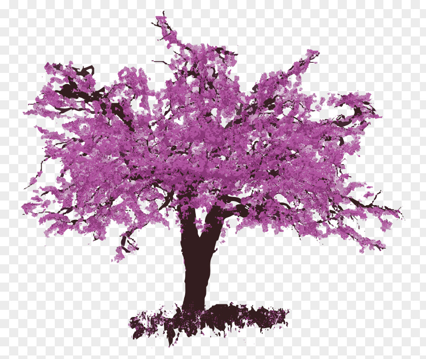 Flower Eastern Redbud Delivery Tree Common Grape Vine PNG