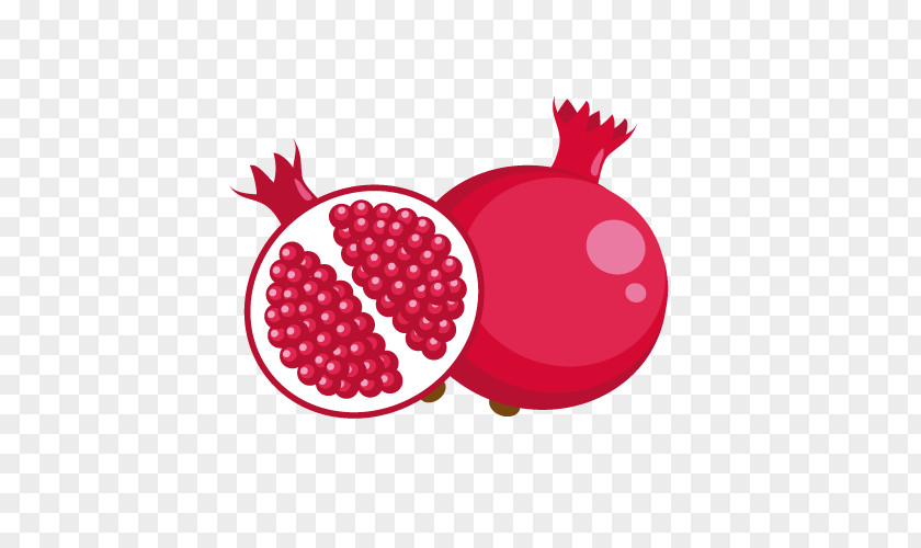 Free Stock Vector Pomegranate Fruit Euclidean PNG