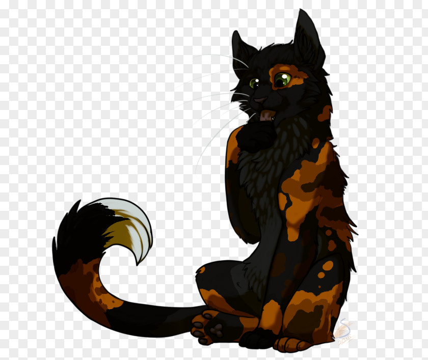 Kitten Black Cat Whiskers Paw PNG