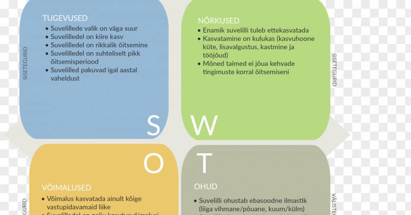 Li Kui Suvelilled Brand SWOT Analysis PNG
