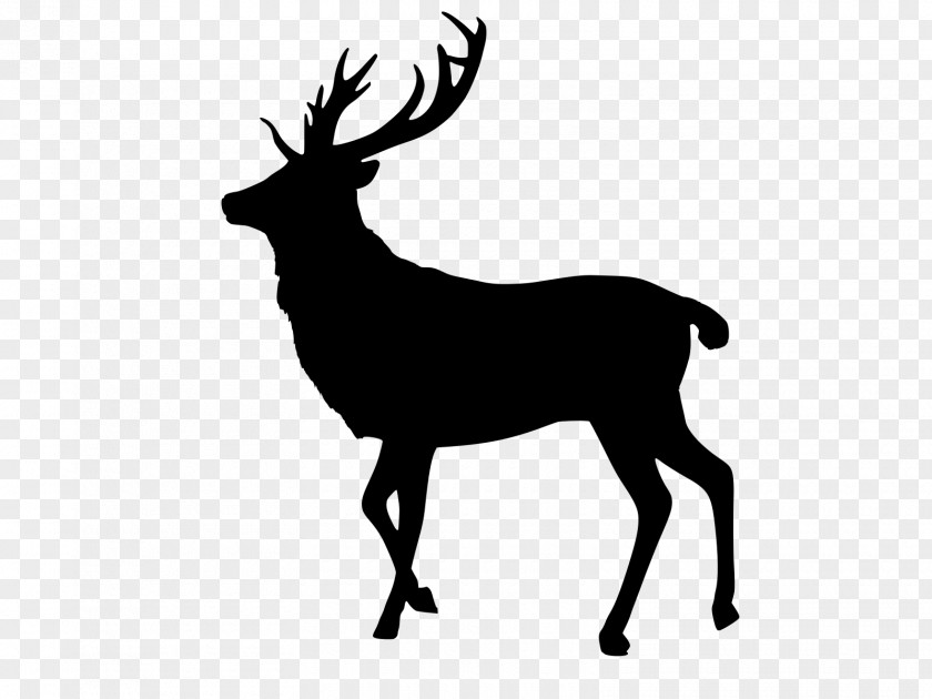 Moose Sticker Reindeer Cartoon PNG
