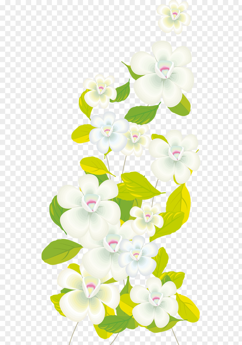 Moth Orchids Clip Art PNG