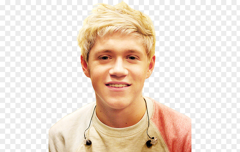 One Direction Niall Horan Mullingar PNG