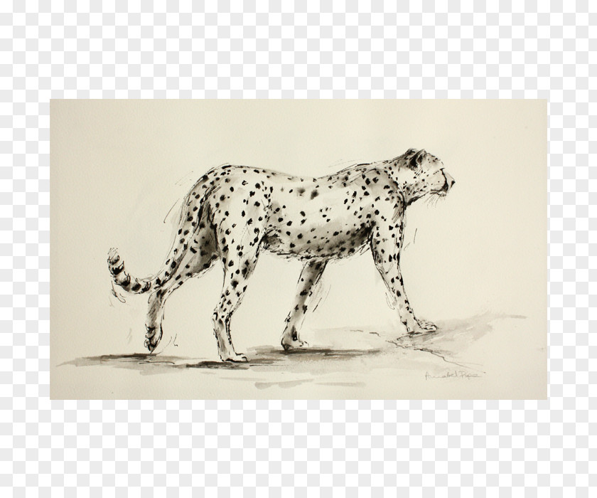 Cheetah Dalmatian Dog Leopard Jaguar Cat PNG