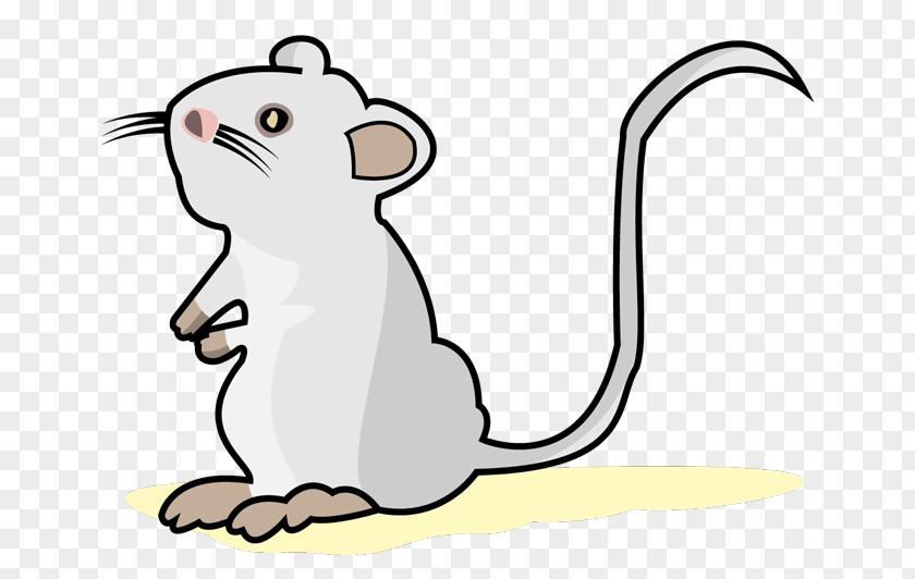 Mouse Whiskers Rat Cat Clip Art PNG