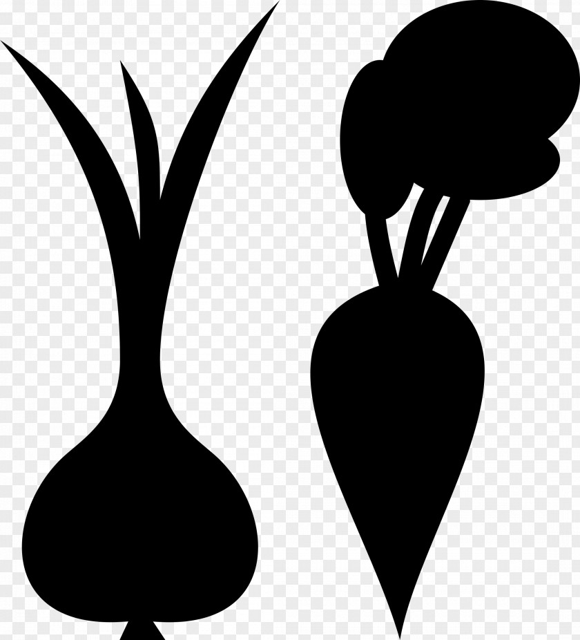 Onion Vegetable Beetroot Clip Art PNG