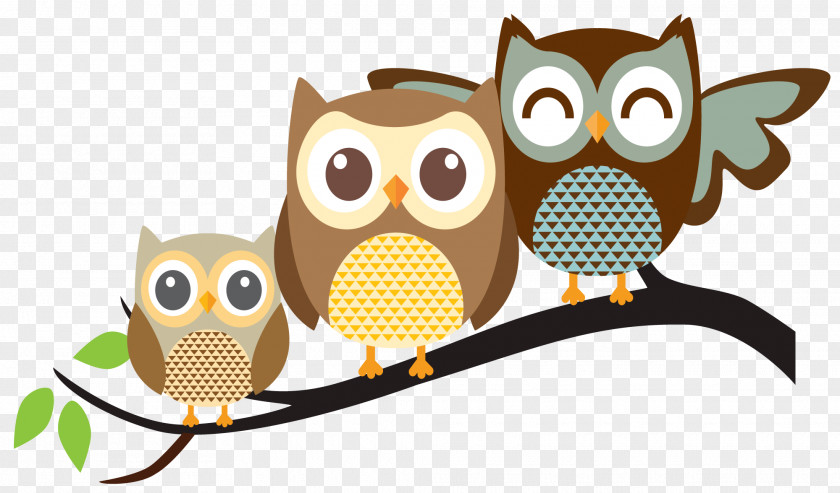 Owl Bird Clip Art PNG