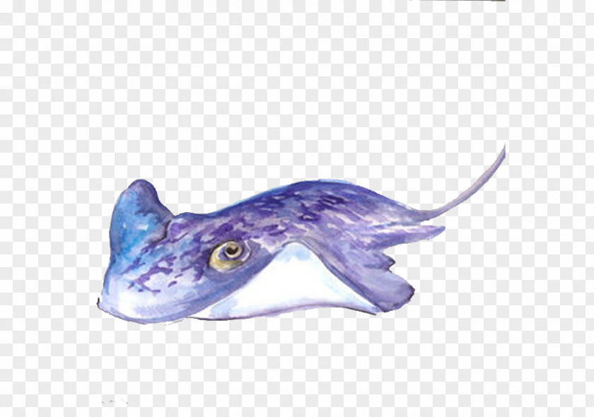 Painting Sea Art Animal Ocean PNG