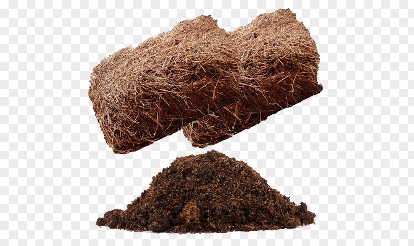 Pine Needles Mulch Soil Straw Plant PNG