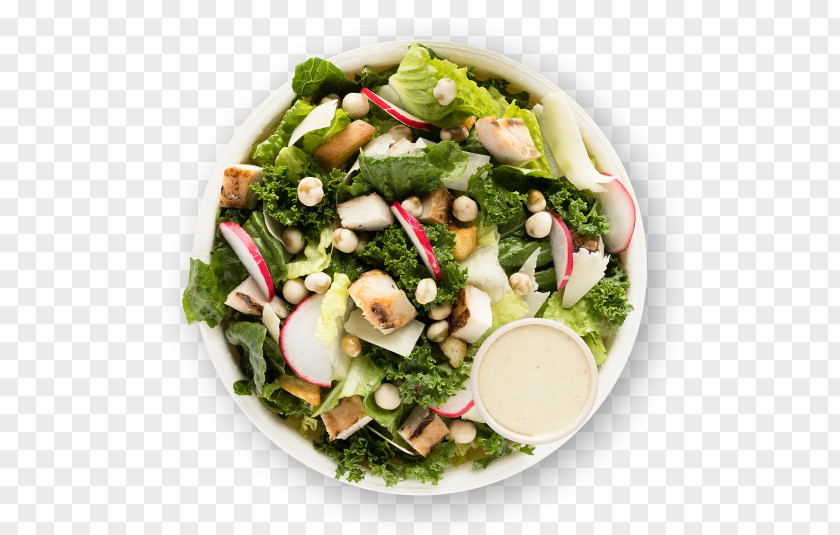 Salad Fattoush Just New York City Food PNG