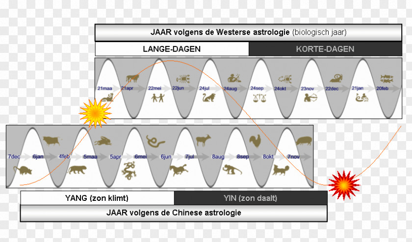 Line Paper Technology Angle Diagram PNG