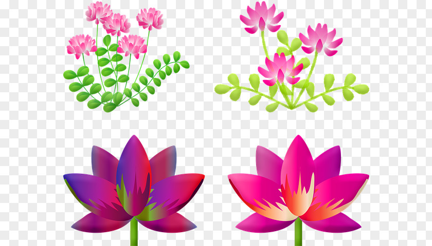 Magenta Plant Stem White Lily Flower PNG