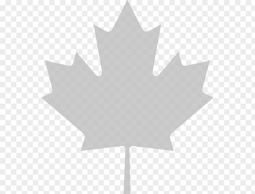 Maple Leaf Background Flag Of Canada Clip Art PNG