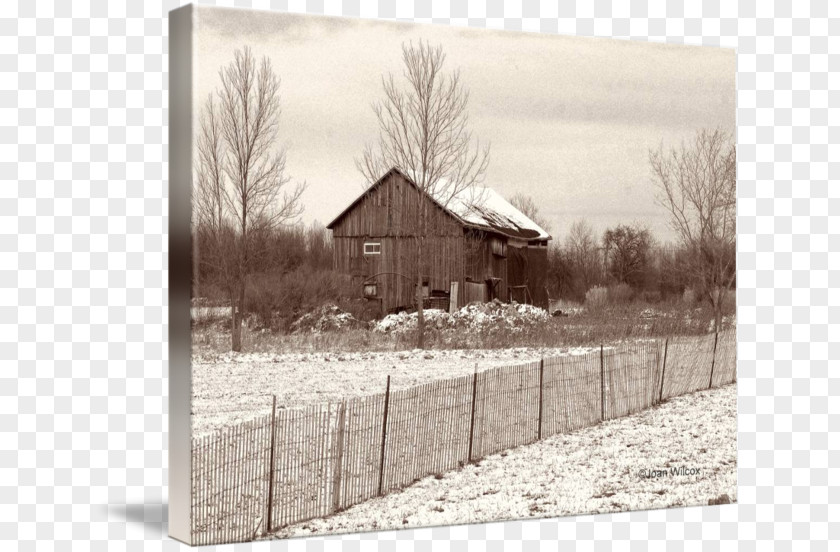 Old Barn Wood /m/083vt Snow Tree White PNG