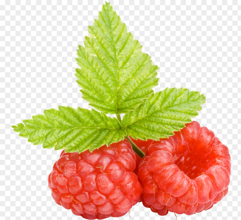 Fresh Raspberries Frutti Di Bosco Raspberry Boysenberry Cloudberry PNG