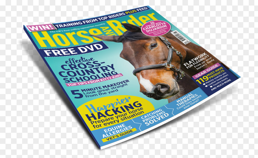 Horse Horse&Rider Equestrian Show Magazine PNG