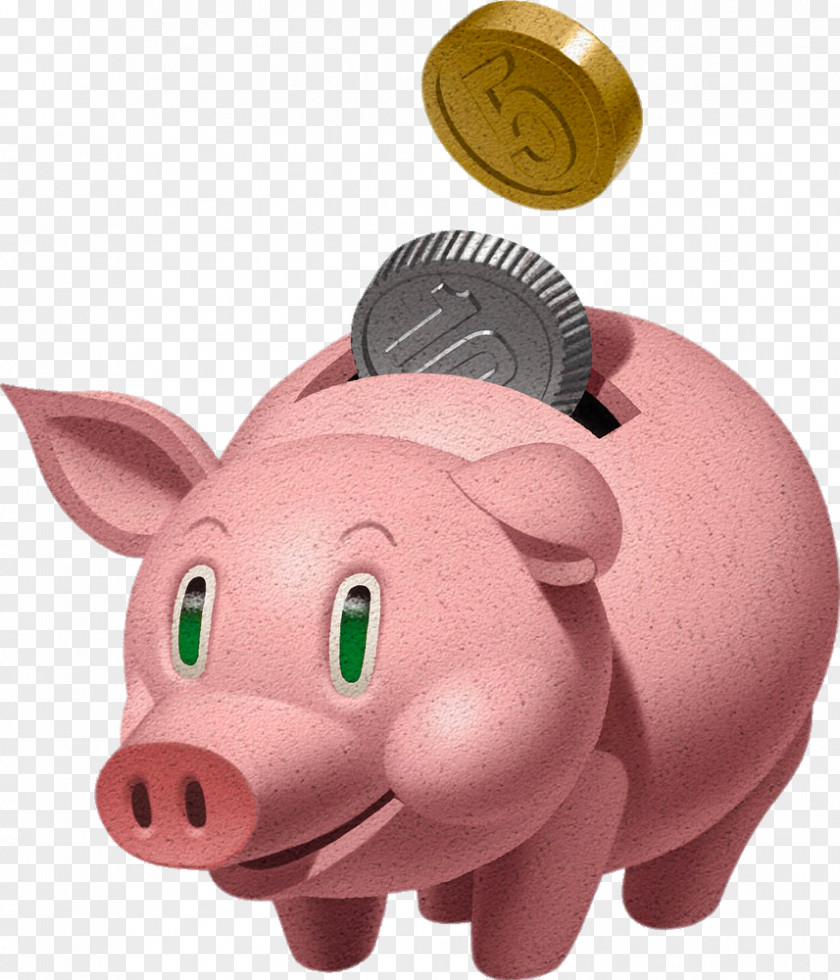 Pink Piggy Bank Domestic Pig PNG