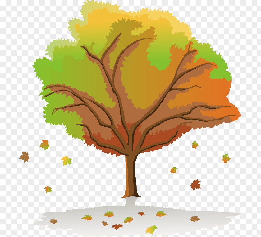 Tree Drawing Season Painting PNG