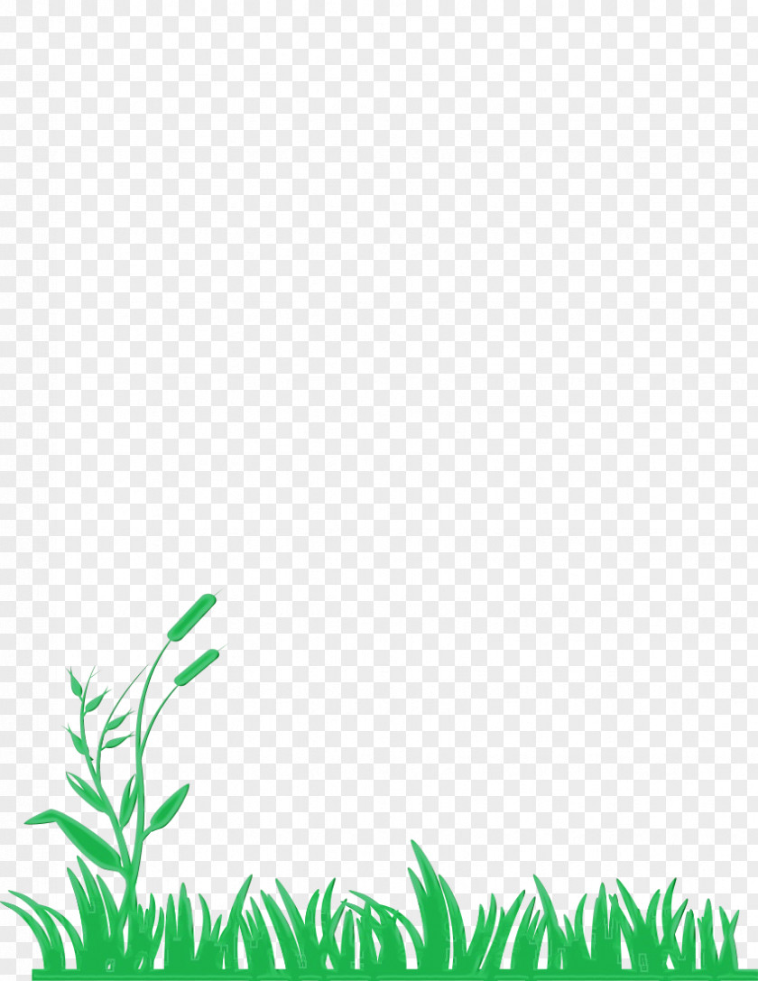 Vascular Plant Green Leaf Vegetation Grass PNG