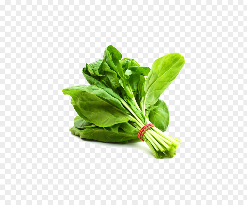 Vegetable Water Spinach Leaf Saag PNG