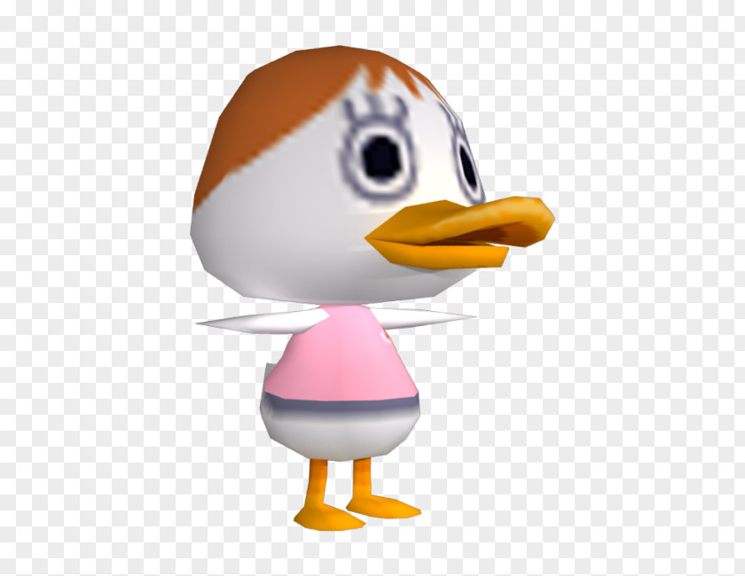 Duck Beak PNG