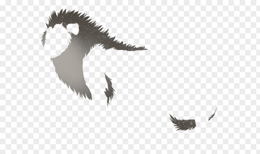 Eagle Beak Feather Sky Plc PNG
