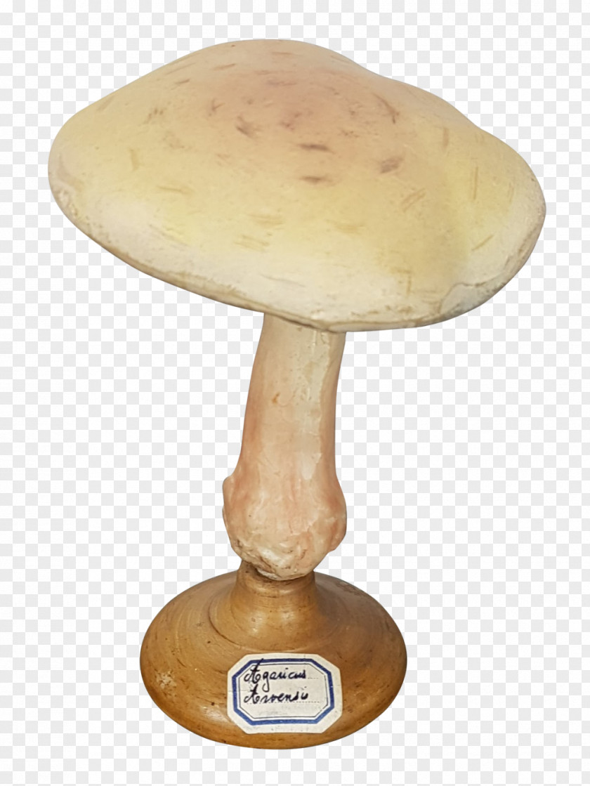 Fungi Mushroom PNG