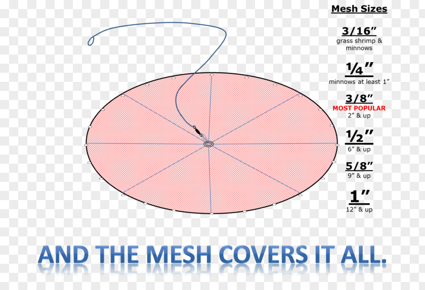 Pilchard Cast Net Casting Mesh PNG