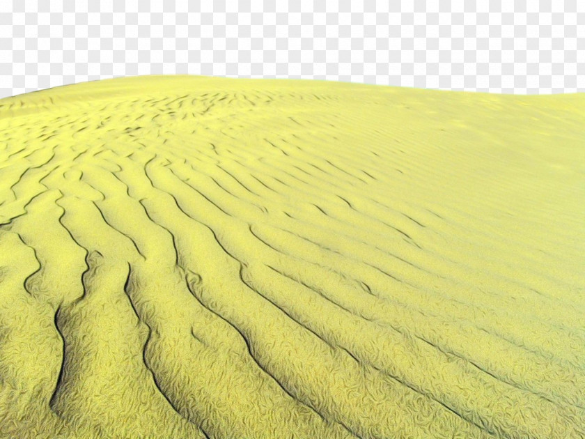 Aeolian Landform Sand Landscape Ecoregion Yellow PNG