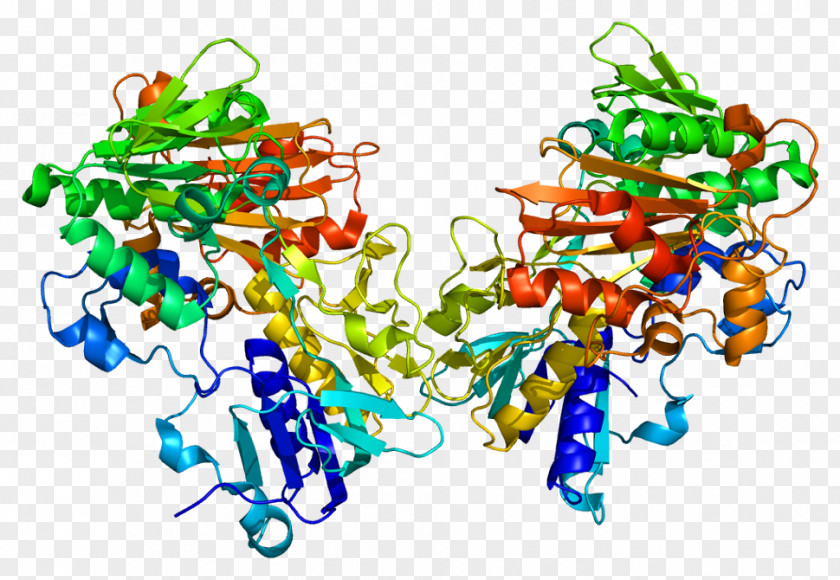 Apoptosisinducing Factor AIFM1 Apoptosis-inducing Flavin Adenine Dinucleotide Protein PNG
