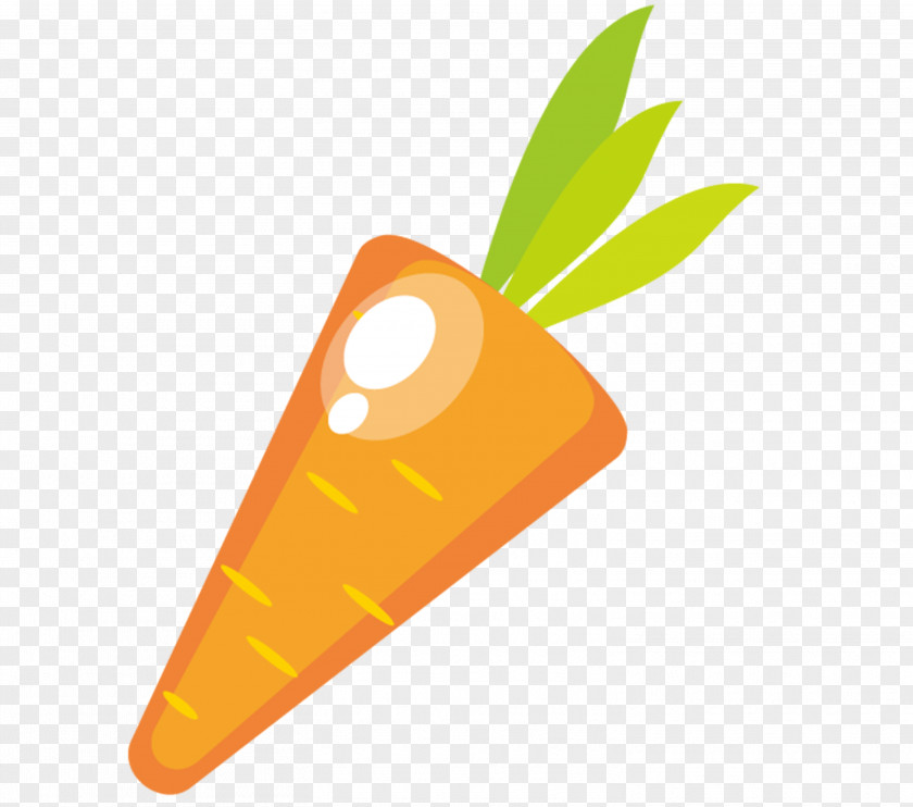Cartoon Carrot Orange Fruit Clip Art PNG