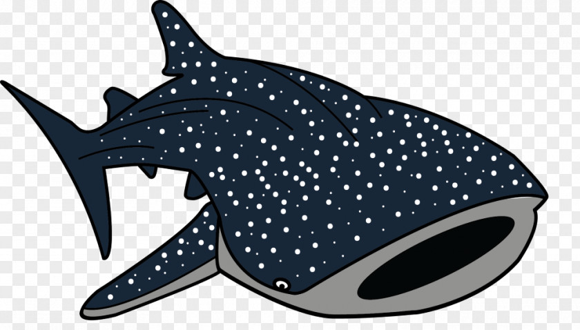 Cartoon Shark Whale Drawing Clip Art PNG