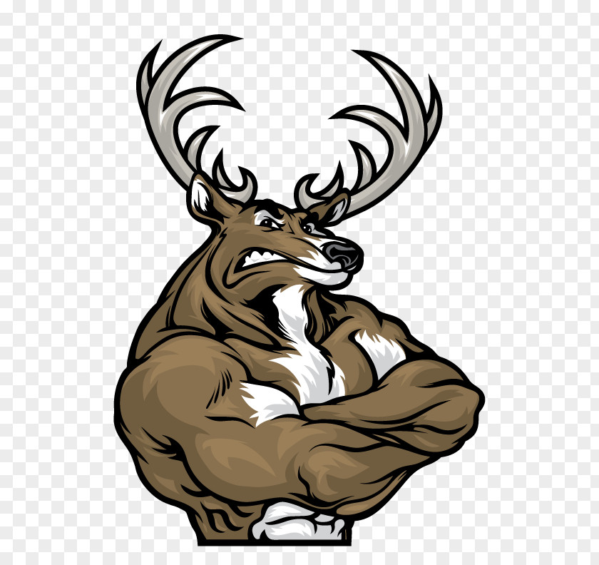 Deer Muscle Drawing PNG