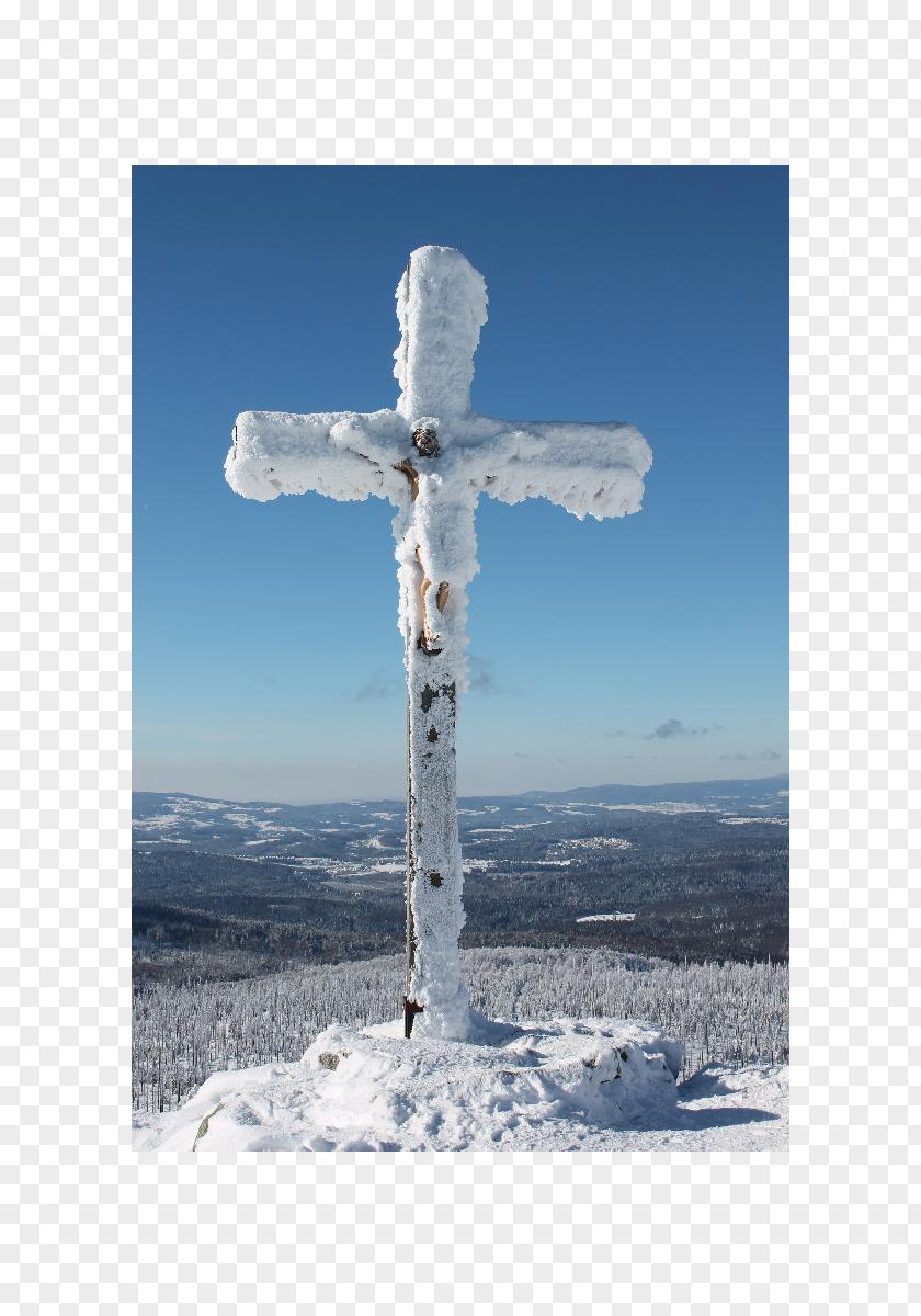 Energy Tree Freezing Religion Sky Plc PNG