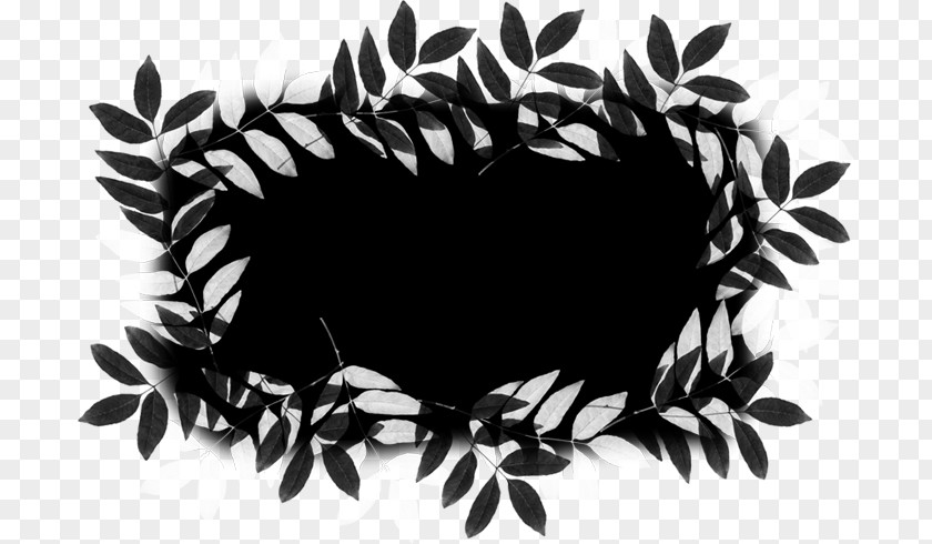 Leaf White Tree Font PNG