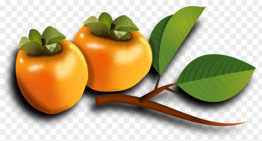 Persimmon Japanese Fruit Food PNG