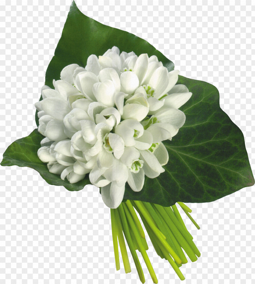 Bouquet Of White Material Snowdrop Flower Tulip Wedding PNG
