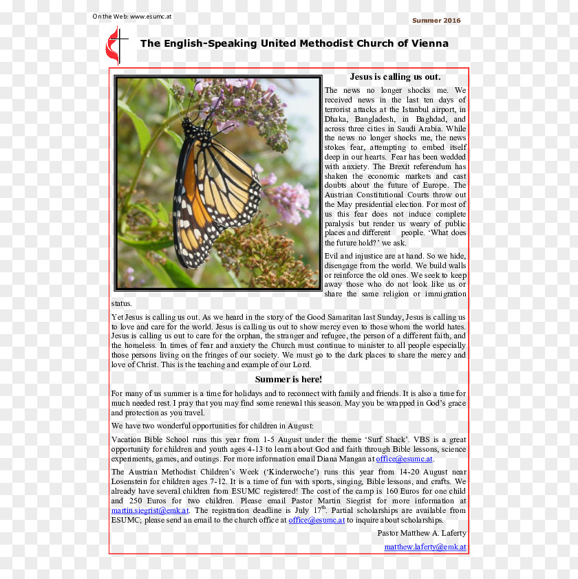 Butterfly Brush-footed Butterflies Fauna Ecosystem PNG