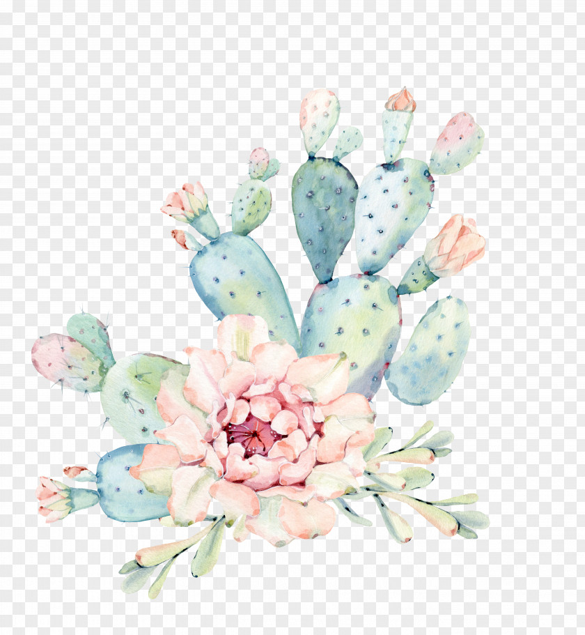 Hand Painted Watercolor Flowers, Green Plants Cactus Cactaceae Painting Succulent Plant Euclidean Vector PNG