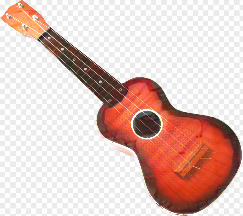 Indian Musical Instruments Jarana Jarocha Guitar Cartoon PNG