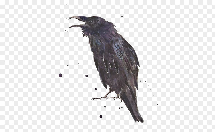 Ink Crow Common Raven The Art Printmaking PNG