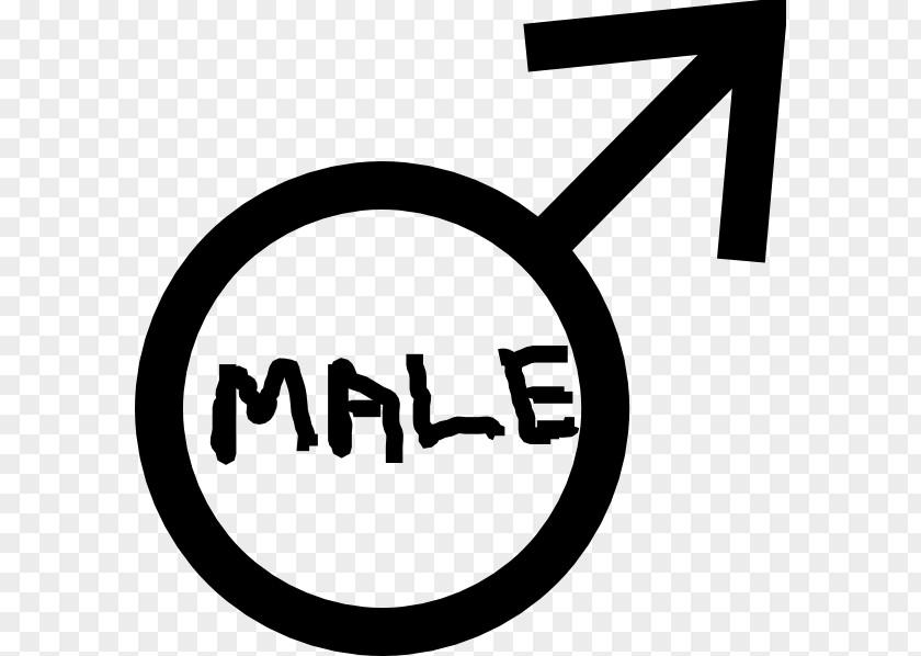 Male Symbol Gender Female Sign PNG