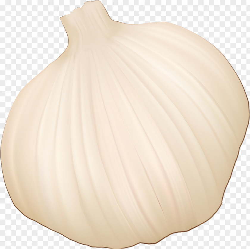 Onion Garlic Vase PNG