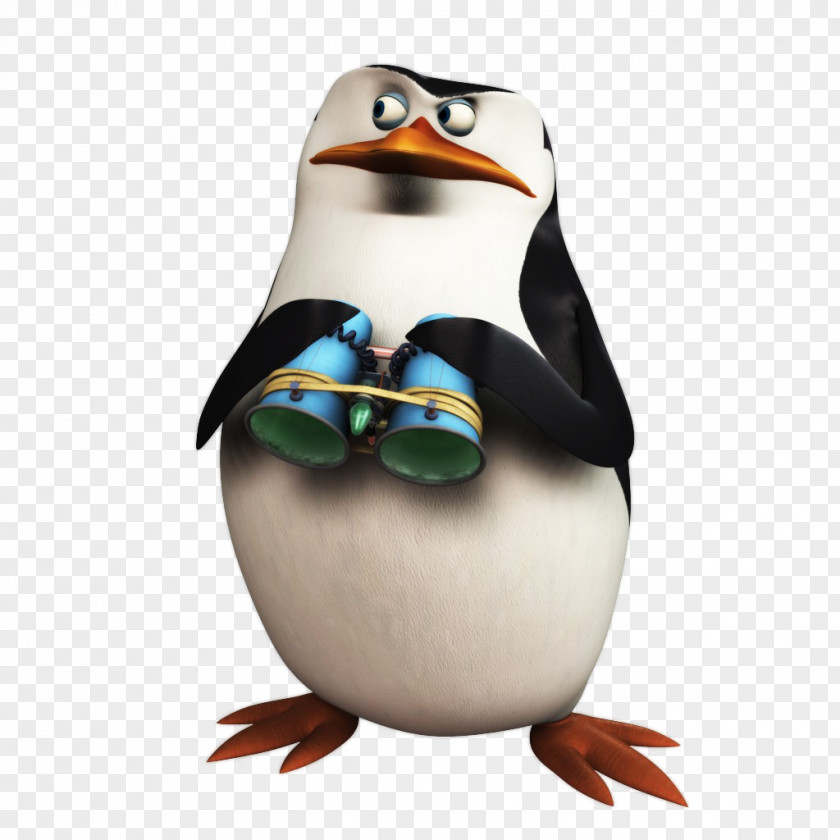 Penguins Of Madagascar Skipper Kowalski DreamWorks Animation Character PNG