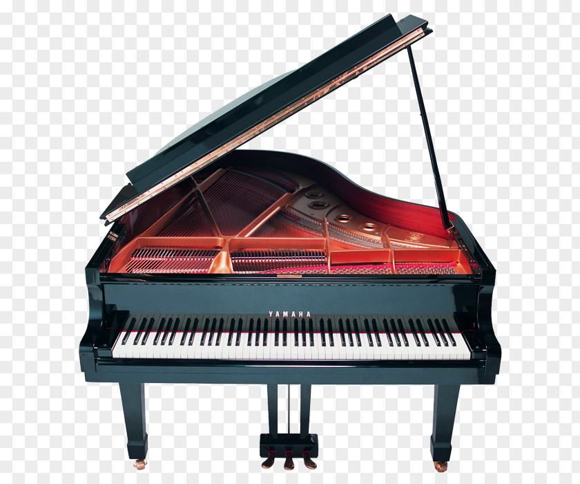 Piano Download PNG